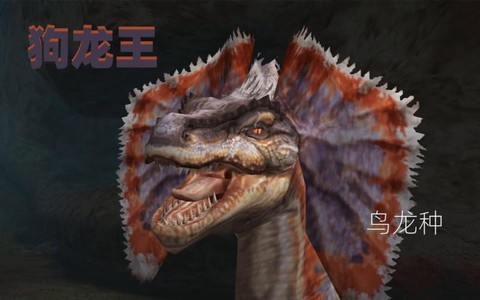 怪物猎人狗龙怎么打[图2]