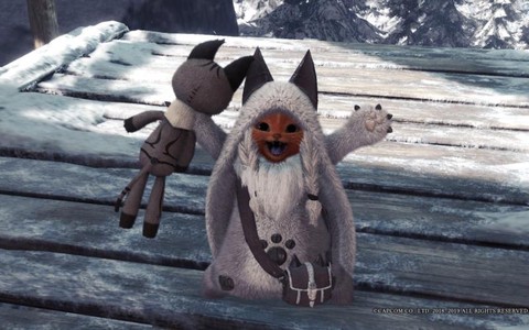 怪物猎人3什么猫好