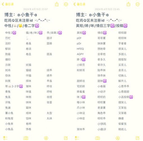 绝地求生的名字怎么取