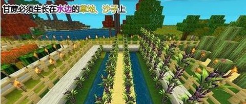 迷你世界里怎么耕地