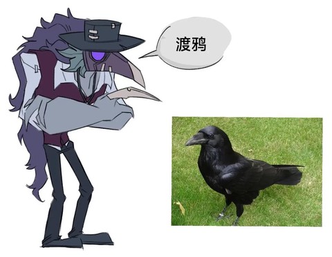 第五人格怎么消乌鸦