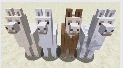 我的世界羊驼吃什么食物[图2]