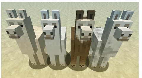 我的世界中羊驼怎么骑