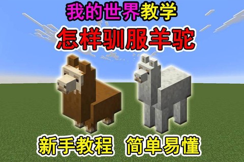 我的世界中羊驼怎么骑[图2]