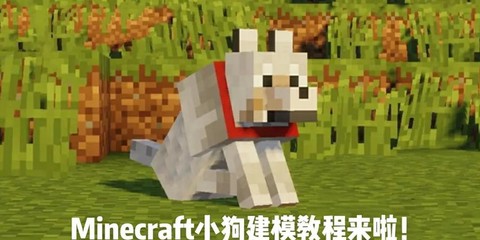 我的世界狗吃什么肉