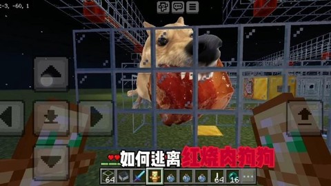 我的世界狗吃什么肉[图2]