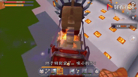 迷你世界里怎么驯服狼