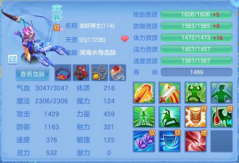 神武65带什么宠物