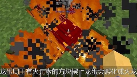 我的世界怎么取龙蛋