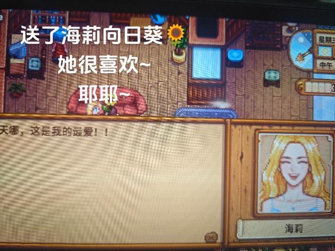 星露谷物语送海莉什么