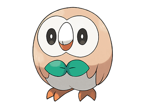 木之宝可梦是什么宝可梦