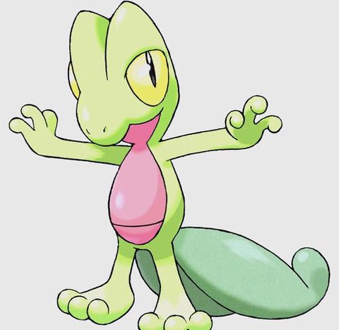 木之宝可梦是什么宝可梦[图1]